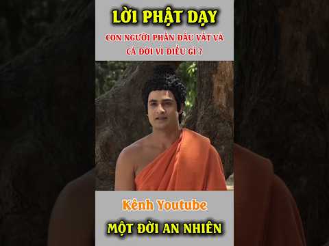 Lời Phật Dạy #shorts #baihoccuocsong #buddha #phatphap #adidaphat #phatgiao #shortvideo #xuhuong