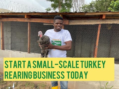 , title : 'How To Start A Small Scale Turkey Farming In Nigeria'