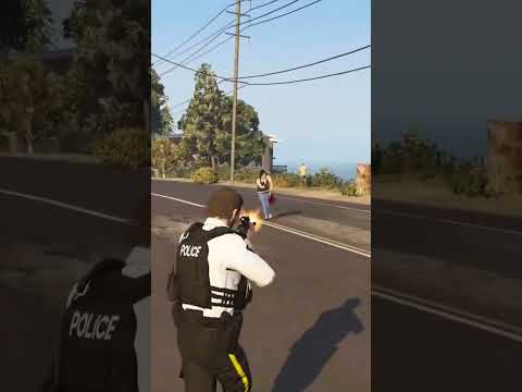 #lspdfr #realistic Meth Lab explodes in LSPDFR!