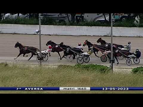 Aversa trotto 13 Maggio 2023 - 7° Corsa
