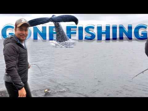 Gone Fishing | Mekjarvik, Randaberg