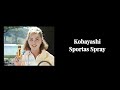 Japanese Commercial Logos 1977 1990 Part 2