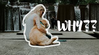 I CAN'T BELIEVE I DID THIS... | #VANLIFE