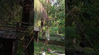 Download lagu Pakai mp3 je la senang 🤣#pikatburung #merbah #lekir #hobi #cnr #fyp #hutan #nature #alhamdulillah mp3