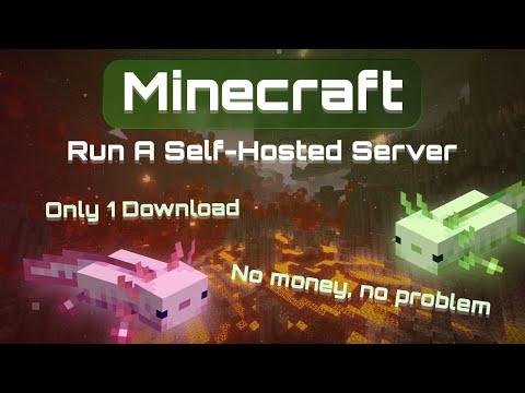 FiNS Flexin - How to Run a Minecraft Server (No Payments, 1 Download)