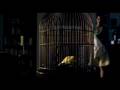 Canary Ariel