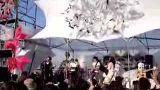 a hundred birds / free pt.2