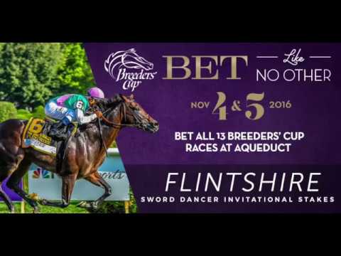 Flintshire - Road to the Breeders' Cup