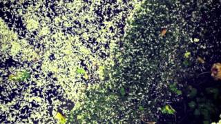 Mountain Range - It's Lonely Around People, Too (Sun Glitters Remix)