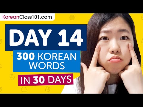 Day 14: 140/300 | Learn 300 Korean Words in 30 Days Challenge