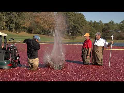 Southers Marsh Music Montage