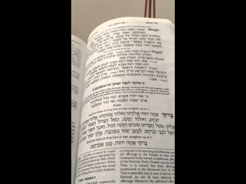 Chazan Nathan Gluck Nusach Tal Geshem Kaddish