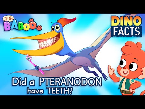 Learn Dino Facts about PTERANODON | Club Baboo | HALF HOUR Dinosaur videos for kids | T-Rex and more