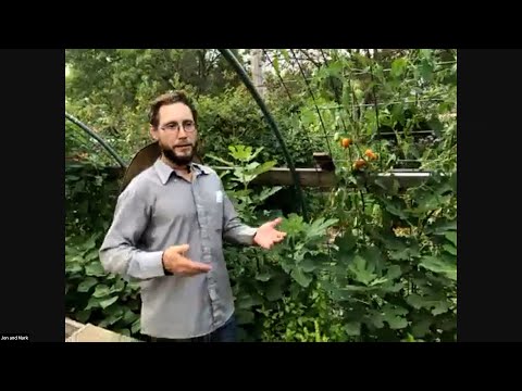 Mulch-Based No-Till Practices - Reduced Tillage ... - YouTube