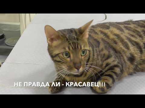 Лечение s-образного искривления позвоночника Купить инъекции гиалуроновой кислоты в коленном суставе