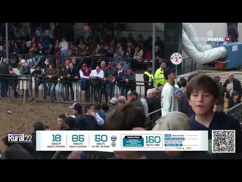 27-07-22 - Jura de Terneros Angus - Expo. Palermo 2022 - Capital Federal, Bs.As.