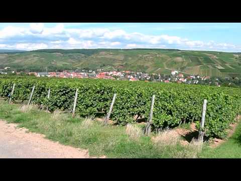 GULDENTAL - Das gemütliche WeinDorf sooNahe - fotoNoWo