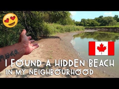 WOW! I Found a HIDDEN BEACH in my Toronto Neighborhood! | Vlog #189