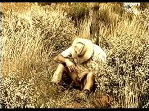 Lasseter's Lost Reef of Gold