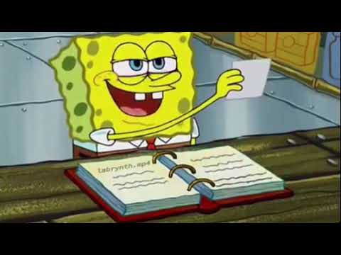 Where Did the Years Go?