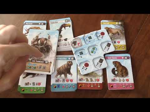 Endless Winter: Paleoamericans - Component Overview and Organization