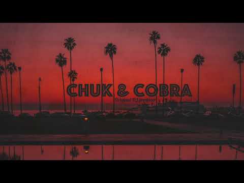 roul door vs julie Mcnight - assiduity ( Chuk&Cobra REMIX )