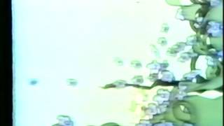 The Letter People TV 58 AU and AW