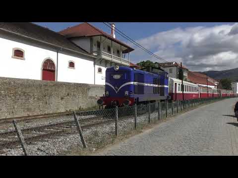 CP 1455 com IR 868 - Pinhão