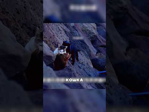 МАТЕРИНСКАЯ любовь побеждает всё 😭🔥❤️