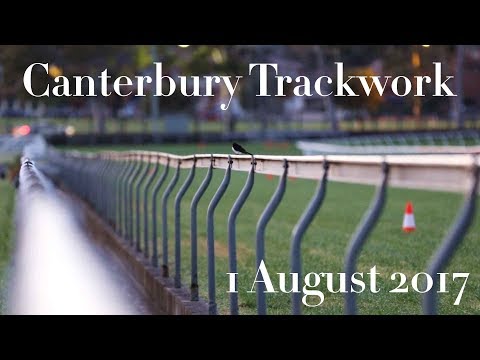 ATC TV: Canterbury Park Open For Trackwork