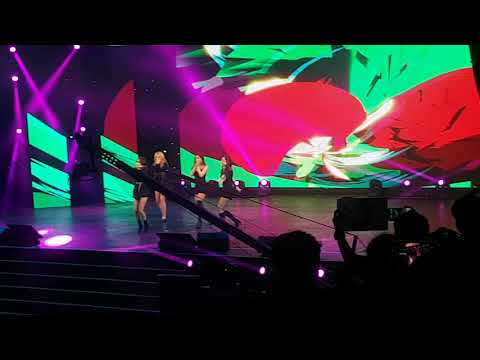T-ARA (티아라) - Roly Poly (롤리폴리) @Fancam 25th Korean-VietNam Friendship Concert