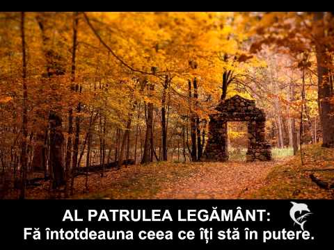 CELE  PATRU  LEGĂMINTE  ALE  FERICIRII