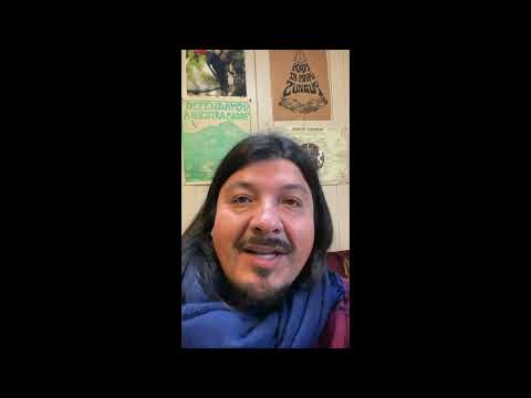 Apellinao Cheuquepan, Postulación al Sindicato de trabajadores Los Lagos y Los Ríos.
