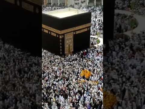 Labbaik allahumma labbaik