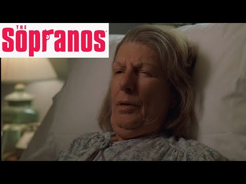 The Sopranos: DNR Vs  DNA - AJ's Overshare Problem