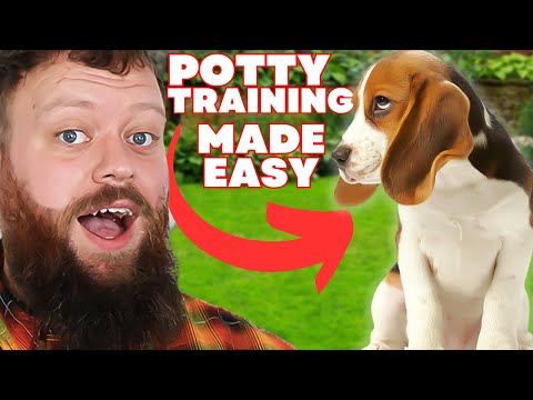 How To Potty Train Your Puppy Easily!