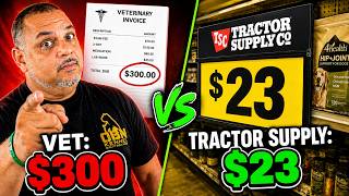 The $23 Fix That Replaced My $300 Vet Visit