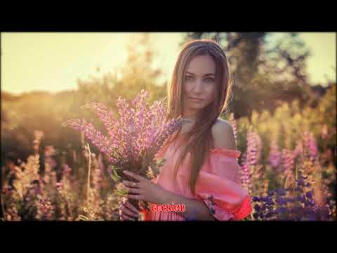 Mr Ven  T1one - По приколу (2018)