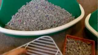 Litter Training For Rats