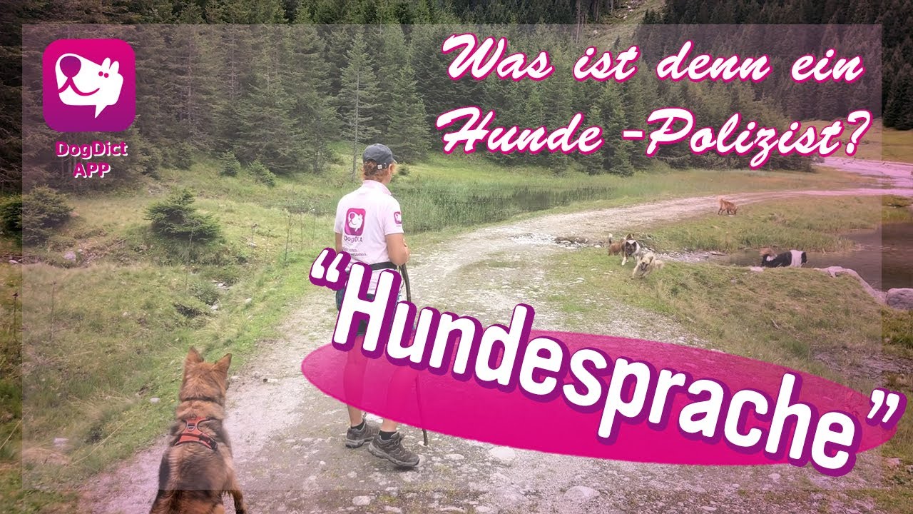 Folge 50: Hundesprache