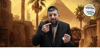 סודות מכת ערוב | זרע שמשון | פרשת וארא תשפ"ו | המבצע מסתיים, כנסו: https://www.ofakimbooks.co.il/ (הרב אליהו עמר) - התמונה מוצגת ישירות מתוך אתר האינטרנט יוטיוב. זכויות היוצרים בתמונה שייכות ליוצרה. קישור קרדיט למקור התוכן נמצא בתוך דף הסרטון סודות מכת ערוב | זרע שמשון | פרשת וארא תשפ"ו | המבצע מסתיים, כנסו: https://www.ofakimbooks.co.il/ (הרב אליהו עמר) - התמונה מוצגת ישירות מתוך אתר האינטרנט יוטיוב. זכויות היוצרים בתמונה שייכות ליוצרה. קישור קרדיט למקור התוכן נמצא בתוך דף הסרטון