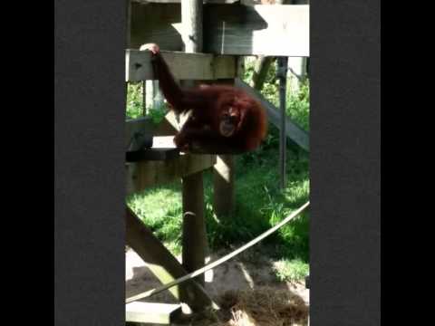 Resumen del día Domingo 8 de junio de 2014