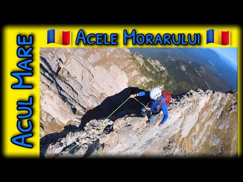 Acele Morarului - Acul Mare