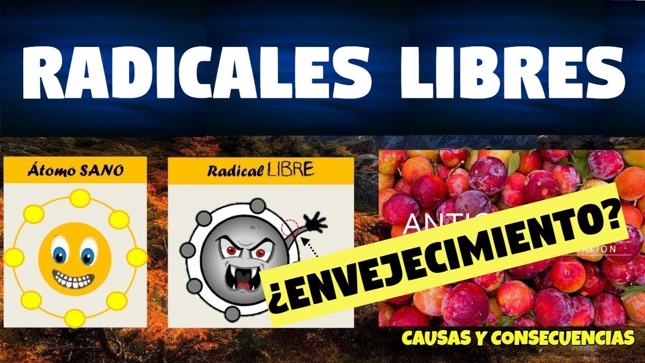 TODO SOBRE RADICALES LIBRES Y ANTIOXIDANTES | FUNCIONES Y CLASIFICACIÓN |
