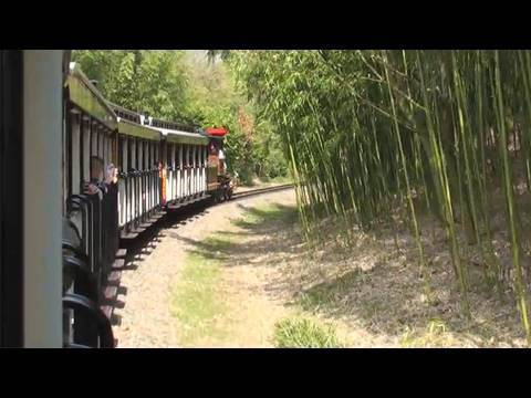 Video de Disneyland Railroad - Viaje de Main Street a Fantasyland - Disfruta del trayecto mágico en tren