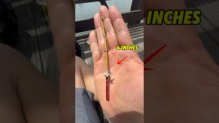 Download lagu Tiny Fishing Rod Vs Giant Fishing Rod mp3
