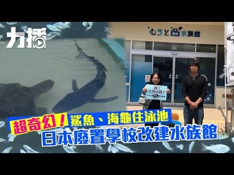 日本廢置學校改建水族館