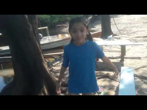 DE VOLTA AO TUPÉ: Manaus/AM