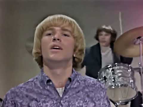 NEW 📀 I Had Too Much To Dream (Last Night) - The Electric Prunes {Stereo} 1966