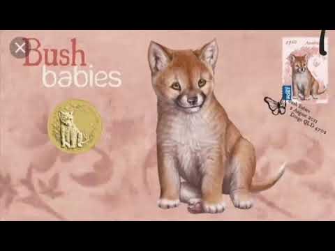 DINGOZ  - heb mich hoch